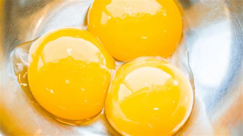 egg yolks deutsch|dict.cc dictionary :: egg yolk :: English.